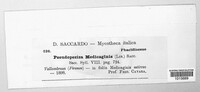 Pseudopeziza medicaginis image